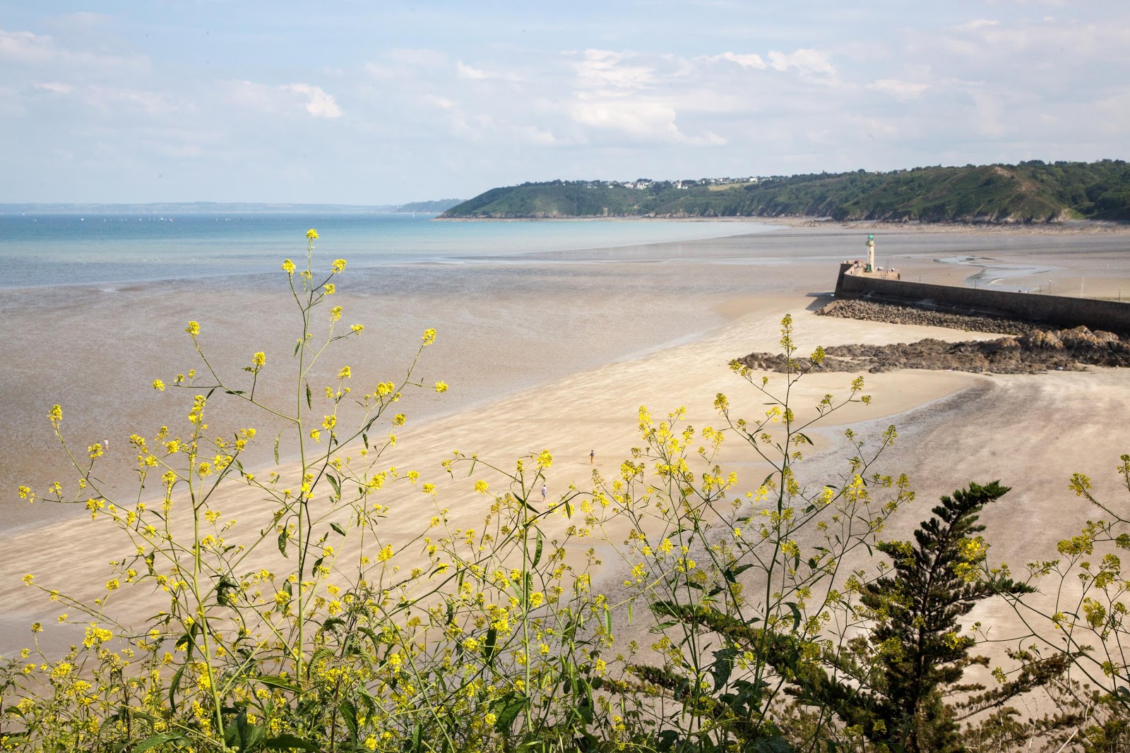 Photo de L'avant-Port Beach avec un niveau de propreté de très propre