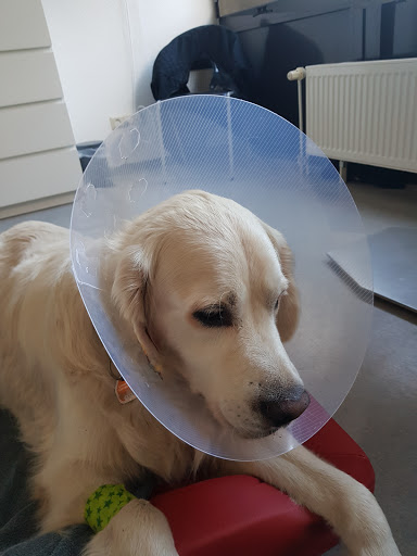 Veterinary practice Jürgens & Zimmermann unter Krefeld, 