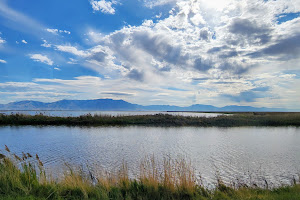 Bear River Migratory Bird Refuge