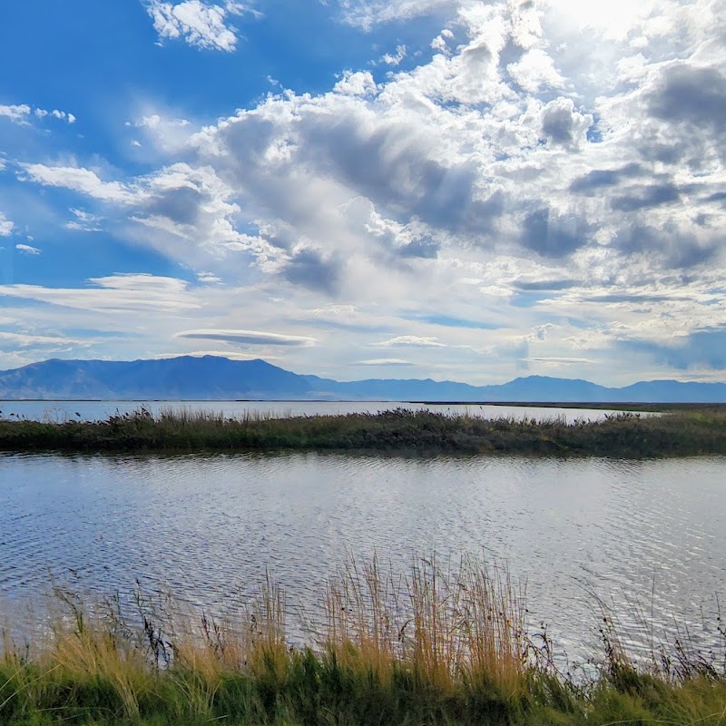 Bear River Migratory Bird Refuge