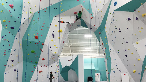 Zenith Climbing Center, 3534 E Sunshine St #3, Springfield, MO 65804, USA, 