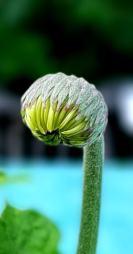 Landscaper «Reynolds Landscaping, Garden Shop & Garden Center», reviews and photos, 201 E Bay Ave, Manahawkin, NJ 08050, USA