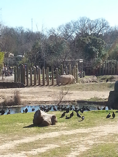 Cameron Park Zoo