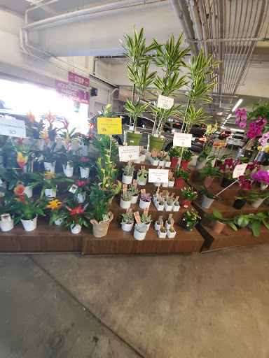 Grocery Store «Whole Foods Market», reviews and photos, 239 N Crescent Dr, Beverly Hills, CA 90210, USA