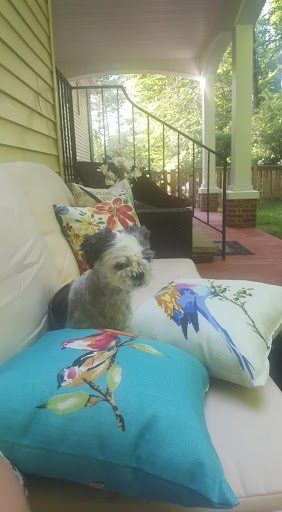 Pet Store «Liberty Agway Pet Center», reviews and photos, 11 Bon Jovi Ln, Liberty, NY 12754, USA