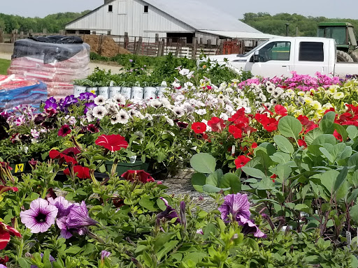 Produce Market «Kroul Farms», reviews and photos, 245 IA-1, Mt Vernon, IA 52314, USA