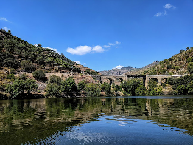 Comentários e avaliações sobre o Oporto Road Trips