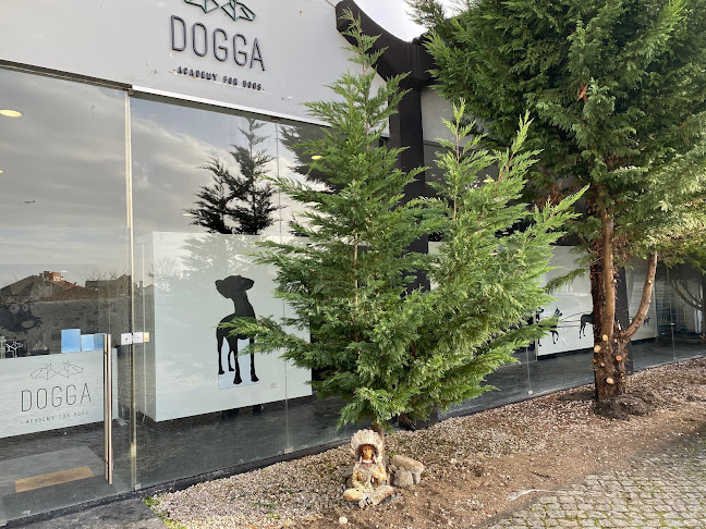 Comentários e avaliações sobre o Dogga Academy for Dogs - Treino de cães