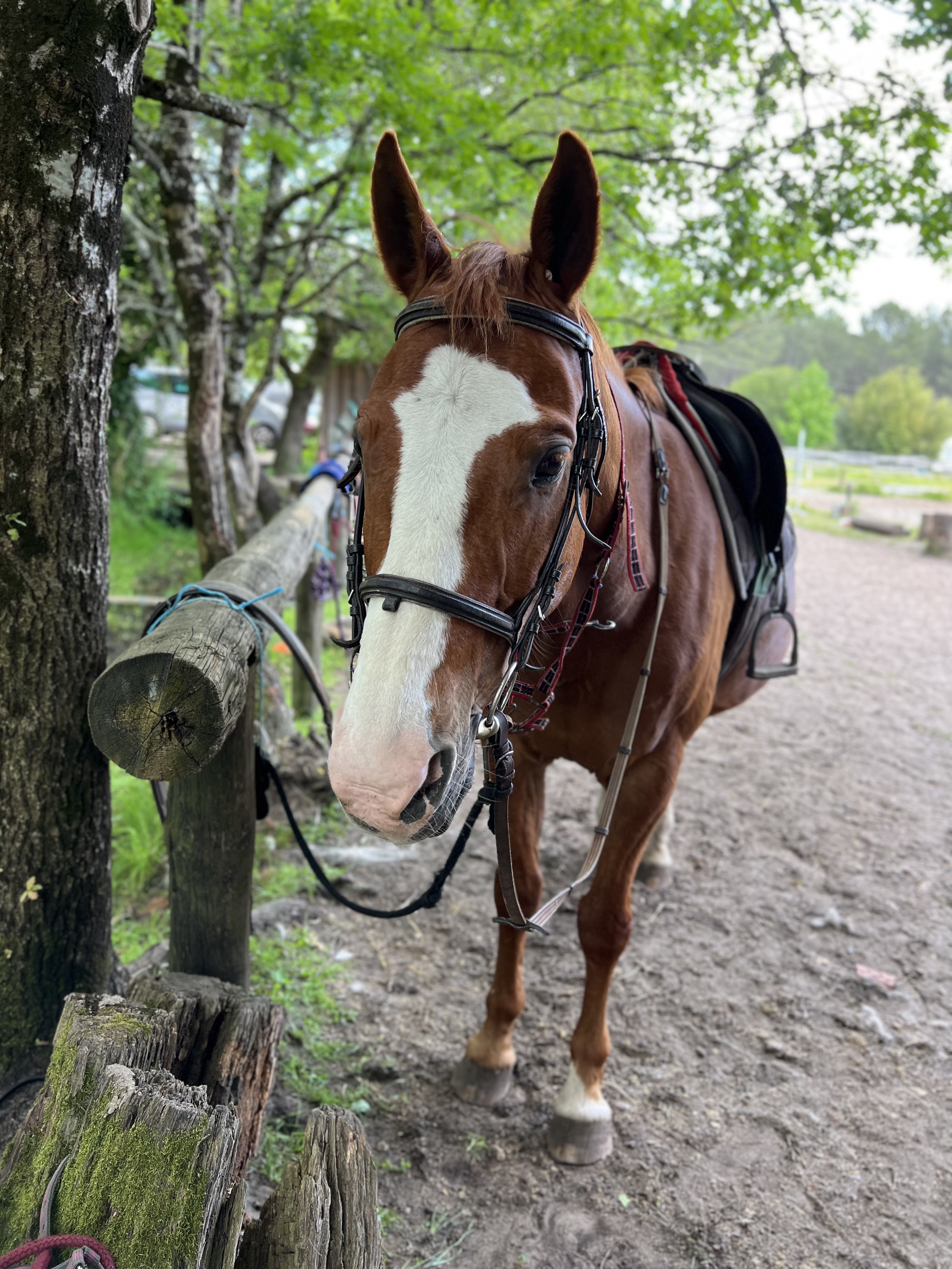 Photo n° 2 de l'avis de Baptiste.X fait le 17/05/2023 à 18:21