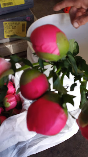 Florist «The Flower Place», reviews and photos, 860 NE 79th St, Miami, FL 33138, USA