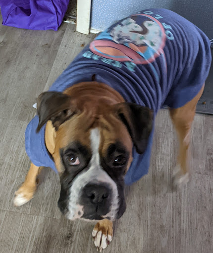 Pet Supply Store «Petco Animal Supplies», reviews and photos, 324 Eastern Blvd, Canandaigua, NY 14424, USA