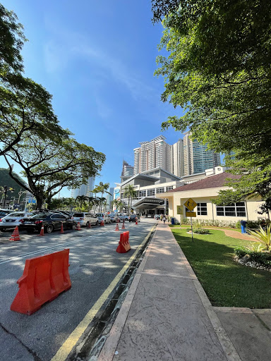 Institut Jantung Negara