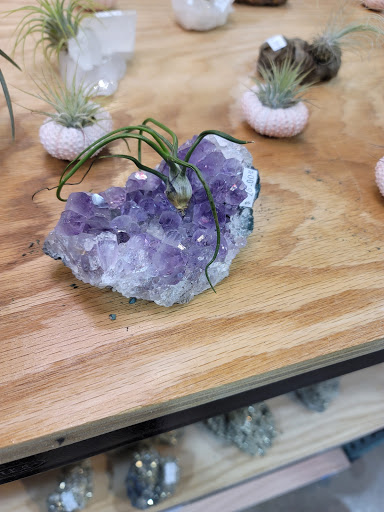 Book Store «Barnes & Noble», reviews and photos, 5500 Buckeystown Pike, Frederick, MD 21703, USA