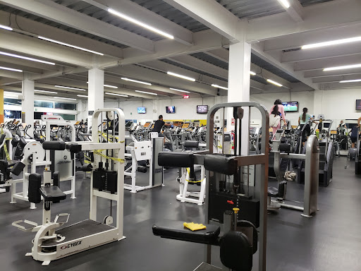 Gimnasio Zapopan