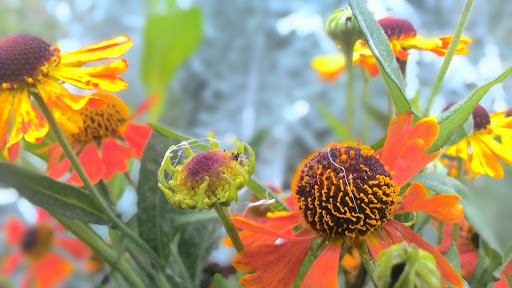 Park «Carl Schurz Park», reviews and photos, East 86th Street & East End Ave, New York, NY 10028, USA