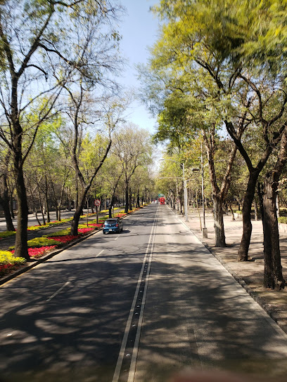 METROBÚS CHAPULTEPEC - LÍNEA 7