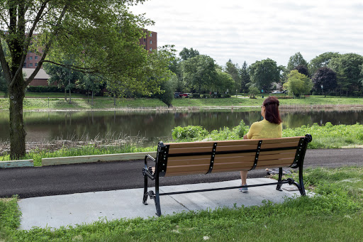 Park «Springfield Park», reviews and photos, 269 Springfield Dr, Bloomingdale, IL 60108, USA