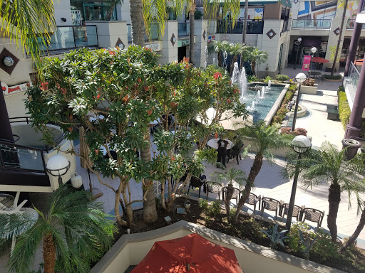 Pet Store «PetSmart», reviews and photos, 17150 Ventura Blvd, Encino, CA 91316, USA