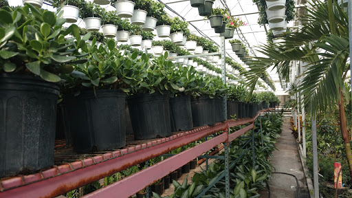 Garden Center «Blooms at Belle Mead», reviews and photos, 1980 US-206, Belle Mead, NJ 08502, USA