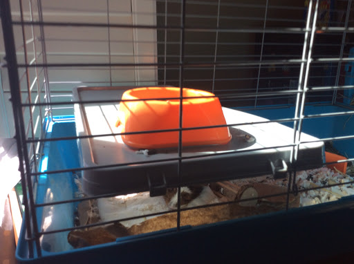 Coffee Shop «Starbucks», reviews and photos, 7083 US-70S, Nashville, TN 37221, USA