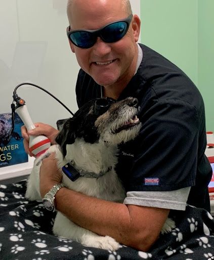 PrimePet Rehabilitation Therapy image