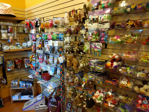 Pet Supply Store «Pet Elements», reviews and photos, 6511 California Ave SW, Seattle, WA 98136, USA