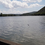 Photo n°3 de l'avis de matteo.a fait le 30/07/2022 à 22:06 sur le  Baraonda Pizzeria Ristorante Bar à Piediluco