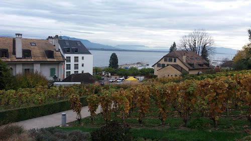 Château de Nyon à Nyon