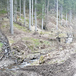 Photo n°12 de l'avis de Ingolf.i fait le 23/03/2019 à 17:13 sur le  Hanskühnenburg à Bad Grund