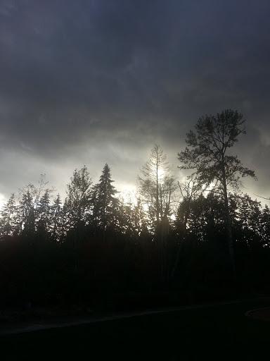 Park «Stringfield Family Park», reviews and photos, 3614 SE Naef Rd, Milwaukie, OR 97267, USA