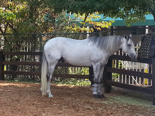 Museum «Kentucky Derby Museum», reviews and photos, 704 Central Ave, Louisville, KY 40208, USA
