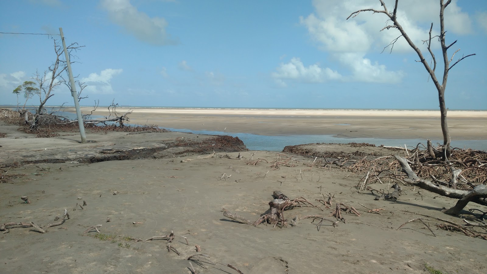 Foto av Praia do Pucal vildmarksområde