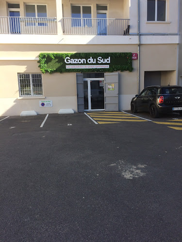 Magasin Gazon du sud Grossiste De Gazon Synthétique Marseille