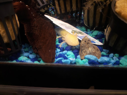 Pet Supply Store «Petco Animal Supplies», reviews and photos, 8909 Branch Ave d, Clinton, MD 20735, USA