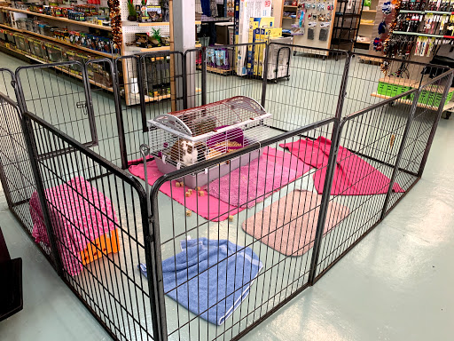 Pet Store «Wet Pets N Critters», reviews and photos, 103 TX-281 Loop, Longview, TX 75605, USA