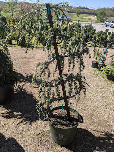 Garden Center «Quality Gardens», reviews and photos, 409 PA-228, Valencia, PA 16059, USA