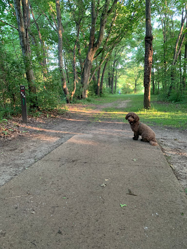 Disc Golf Course «Hudson Mills Disc Golf Course», reviews and photos, 8801 N Territorial Road, Dexter, MI 48130, USA