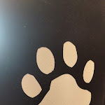 Photo n°2 de l'avis de Nuno.e fait le 08/07/2022 à 11:51 sur le  O Chana do Bernardino à 