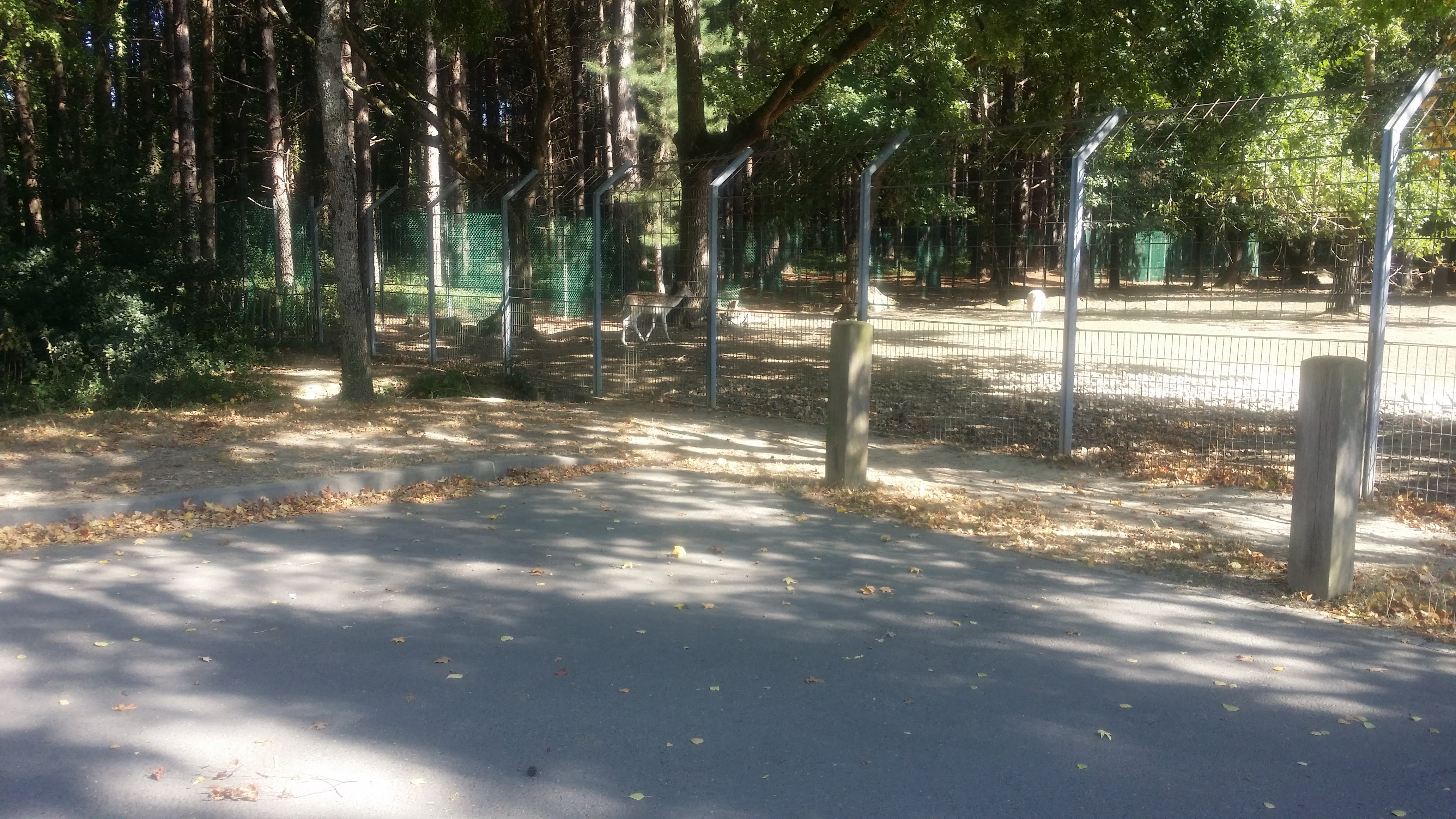 Photo n° 9 de l'avis de Alain.o fait le 22/04/2019 à 15:22
