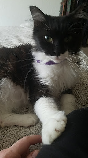 Pet Supply Store «PetSmart», reviews and photos, 1297 Promenade Pl, Eagan, MN 55121, USA