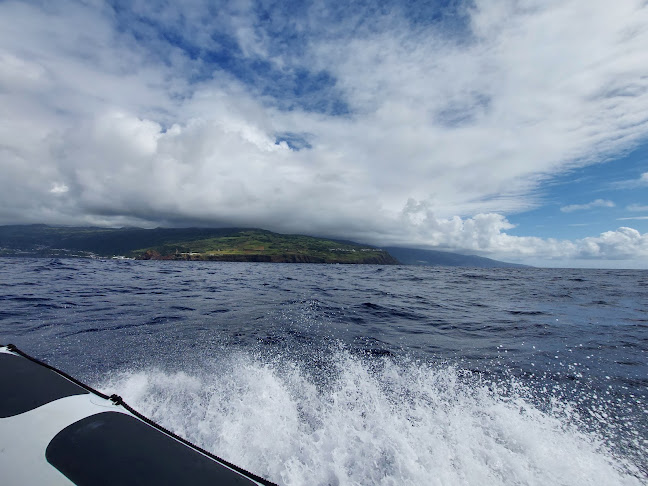 Aqua Açores, Lda - Whale and Dolphin Whatching Horário de abertura