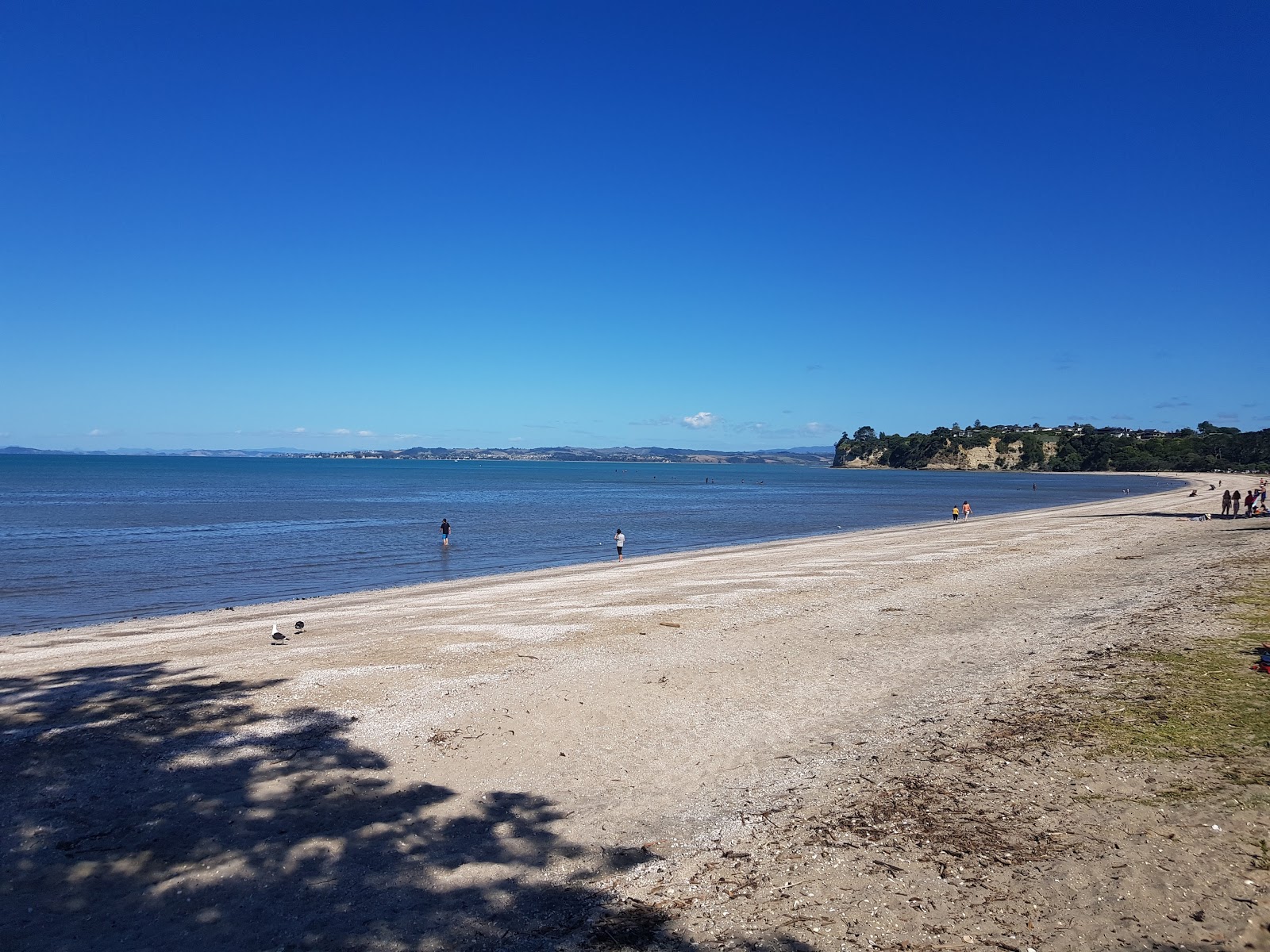 Φωτογραφία του Eastern Beach με φωτεινή άμμο κοχύλι επιφάνεια