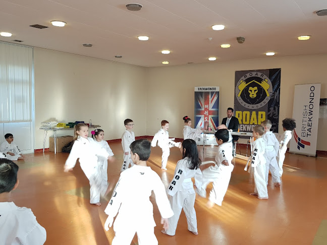 Roar Taekwondo GB - School