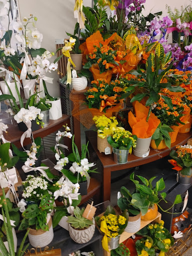 Grocery Store «ACME Markets», reviews and photos, 829 NY-82, Hopewell Junction, NY 12533, USA