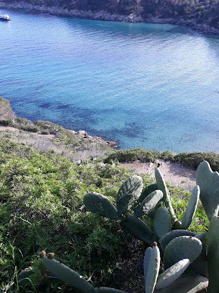 Photos des visiteurs Appartamento vacanze WelcomeToElba Appartamenti Elba Ovest 57034 Fetovaia