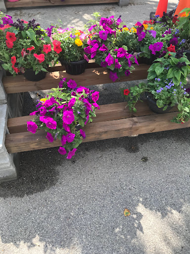 Grocery Store «Hy-Vee», reviews and photos, 9409 Zane Ave N, Brooklyn Park, MN 55443, USA