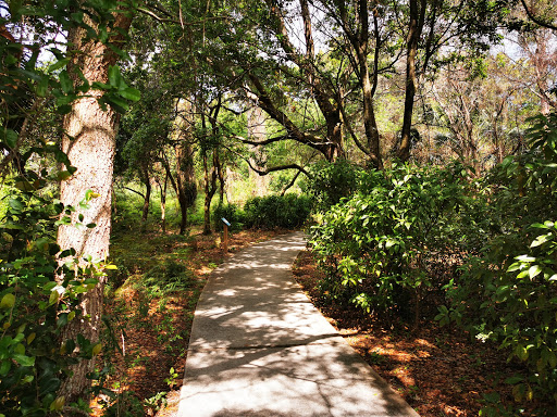 Nature Preserve «Woodmont Natural Area», reviews and photos, 7250 NW 80th Pl, Pompano Beach, FL 33321, USA