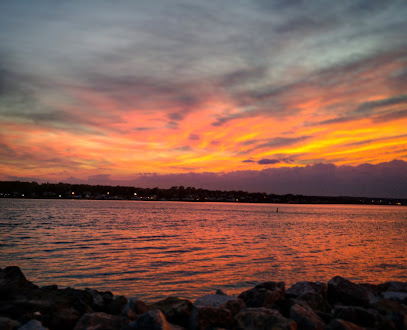 Sydney Boardwalk