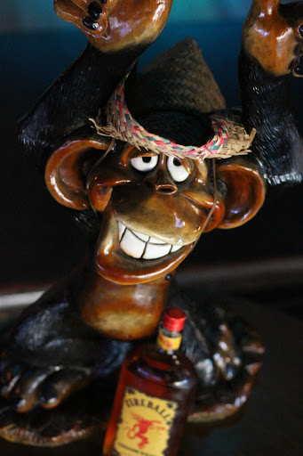 Bar «The Brass Monkey», reviews and photos, 3104 Youree Dr, Shreveport, LA 71104, USA