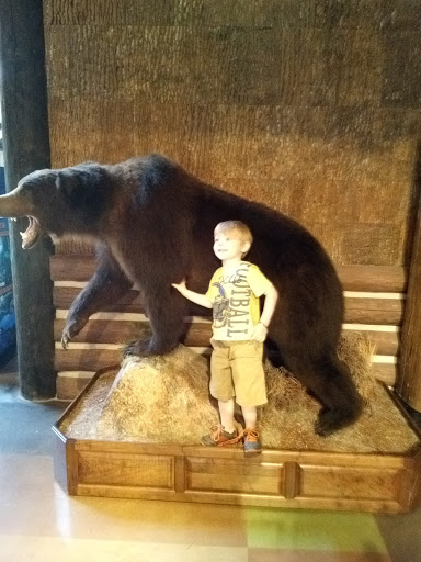 Sporting Goods Store «Bass Pro Shops Base Camp», reviews and photos, 2500 E Kearney St, Springfield, MO 65803, USA